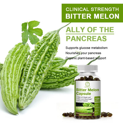 Plant-insulin Bitter Gourd Capsule Blood Sugar Health for Old Men Digestive and Metabolic Health