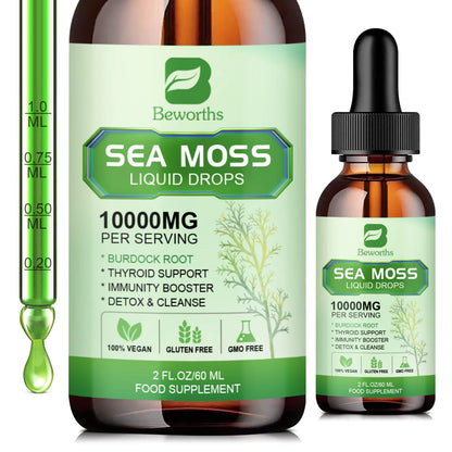 BEWORTHS Sea Moss Capsules with Burdock Root, Bladderwrack for Thyroid Joint, Health Support Immunity, Gut & Energy Health